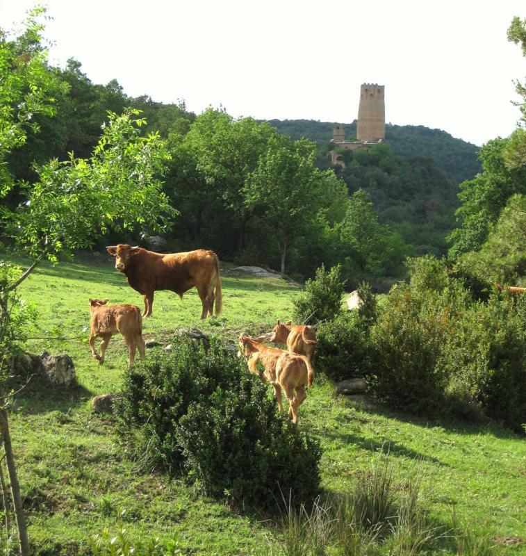 Hotel Rural Jaumet Tora de Riubregos Luaran gambar